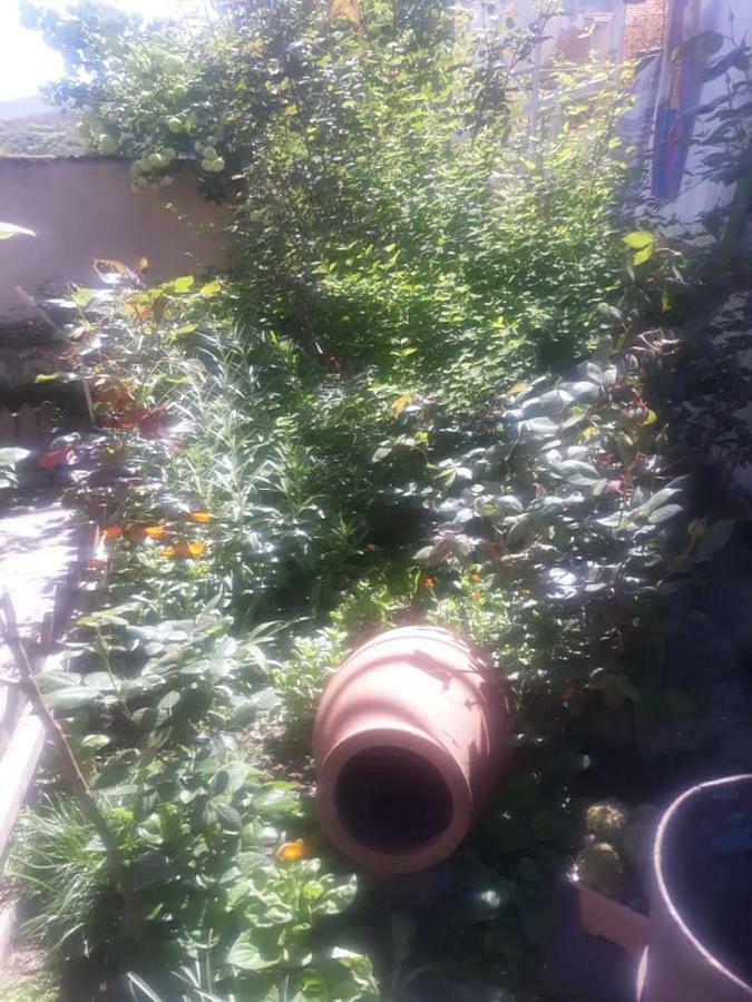 Guest House Sveti Mtsʼkhetʼa المظهر الخارجي الصورة