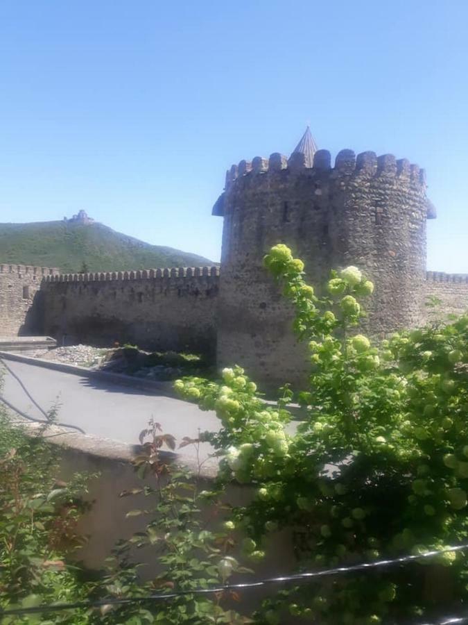 Guest House Sveti Mtsʼkhetʼa المظهر الخارجي الصورة