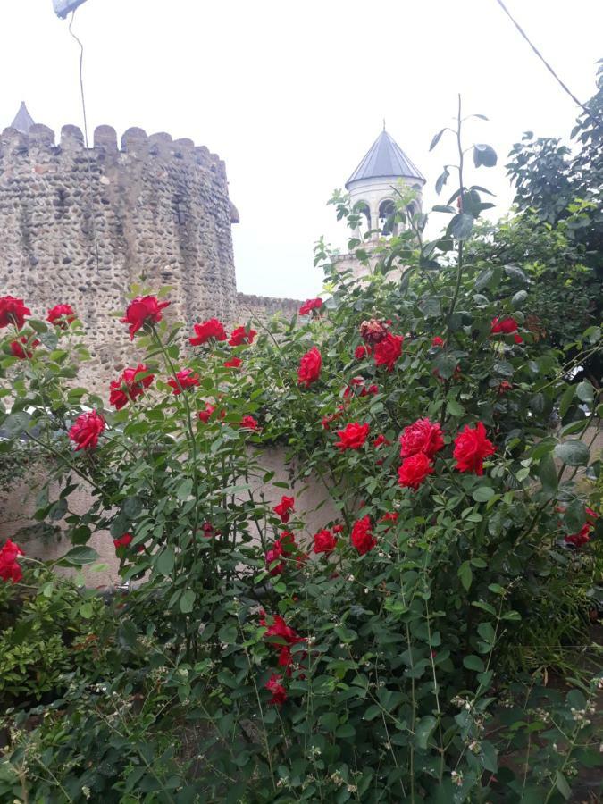 Guest House Sveti Mtsʼkhetʼa المظهر الخارجي الصورة